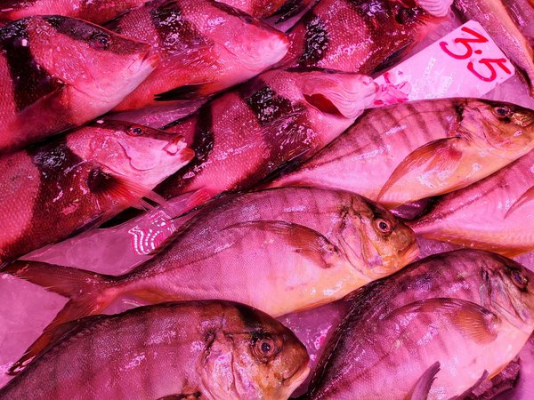 Les troubles mentaux dans la littérature et le cinéma